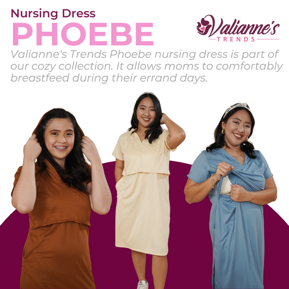 Valianne's Trends Phoebe Nursing Dress