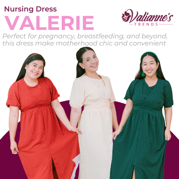 Valianne's Trends - Valerie Nursing Dress - Sassy and Chic Collection
