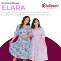 Valianne's Trends - Elara Nursing Dress - Meadow Haven Collection