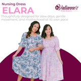 Valianne's Trends - Elara Nursing Dress - Meadow Haven Collection